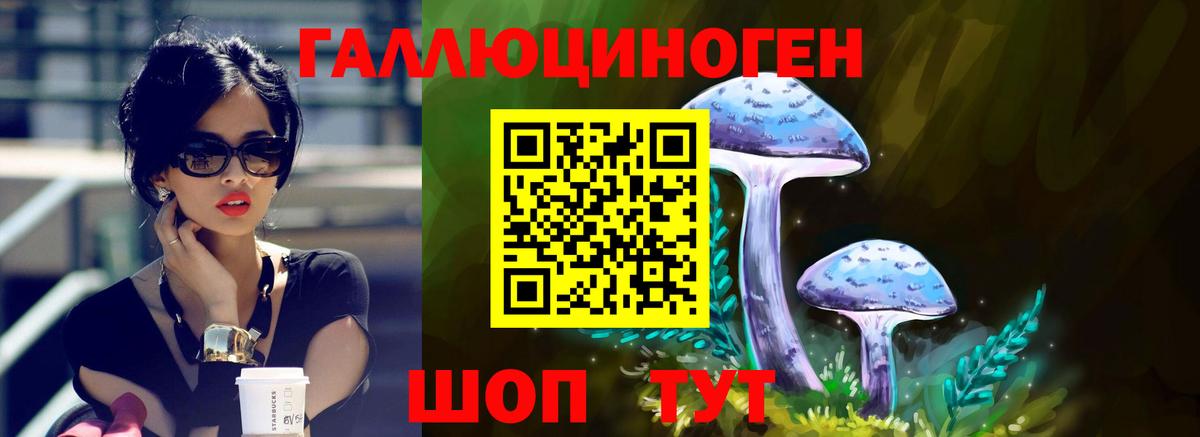 купить наркоту  Галлюциногенные грибы Psilocybe  Вход с VPN  Галлюциногенные грибы мицелий  Ливны 